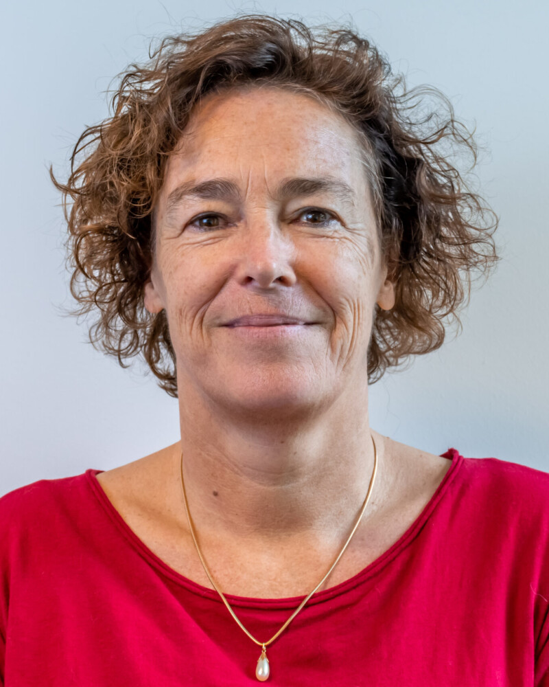 Liedeke Vis